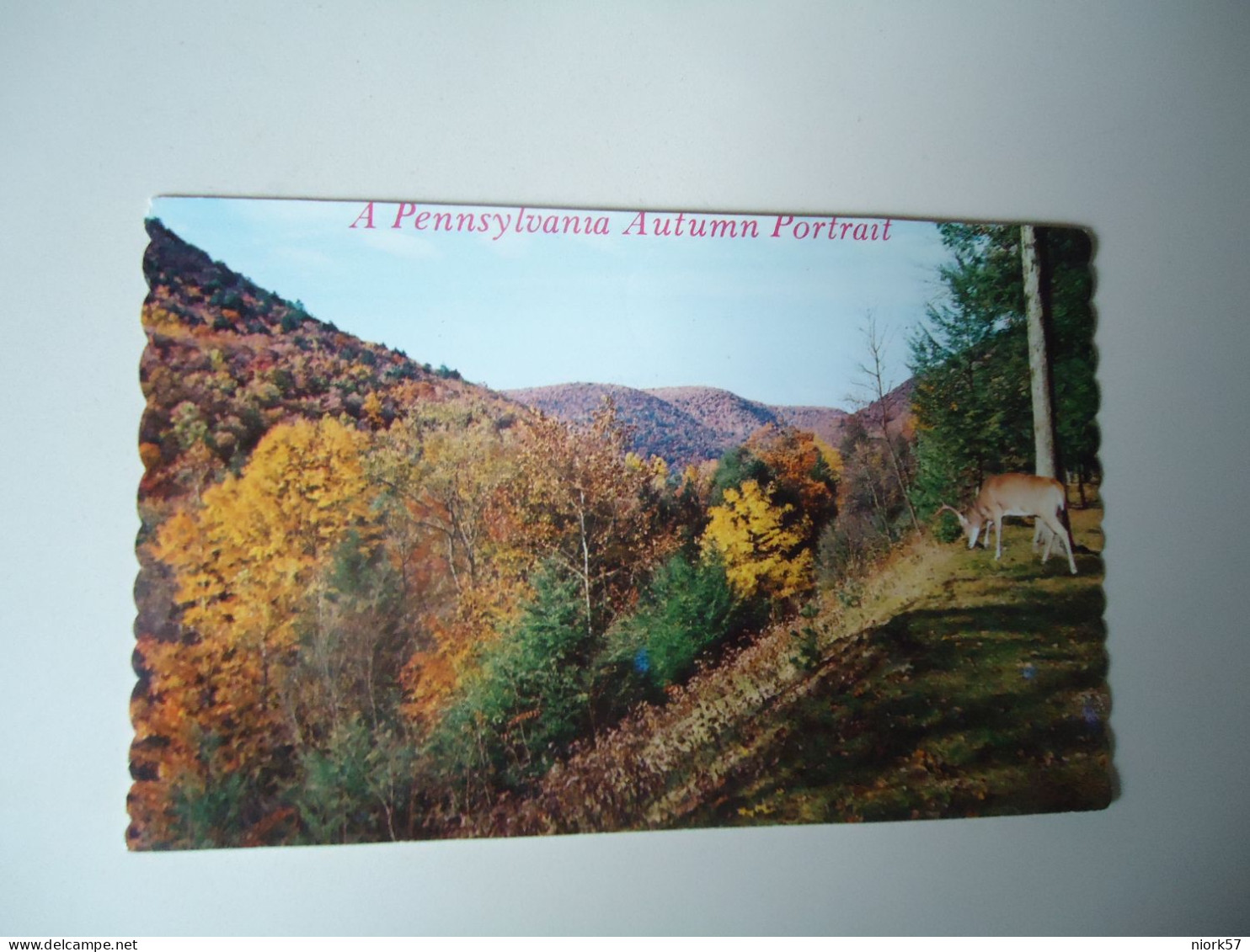 UNITED STATES  POSTCARDS 1980 PENNSYLVANIA AUTUM PORTAIT   MORE  PURHASES 10% DISCOUNT - Other & Unclassified