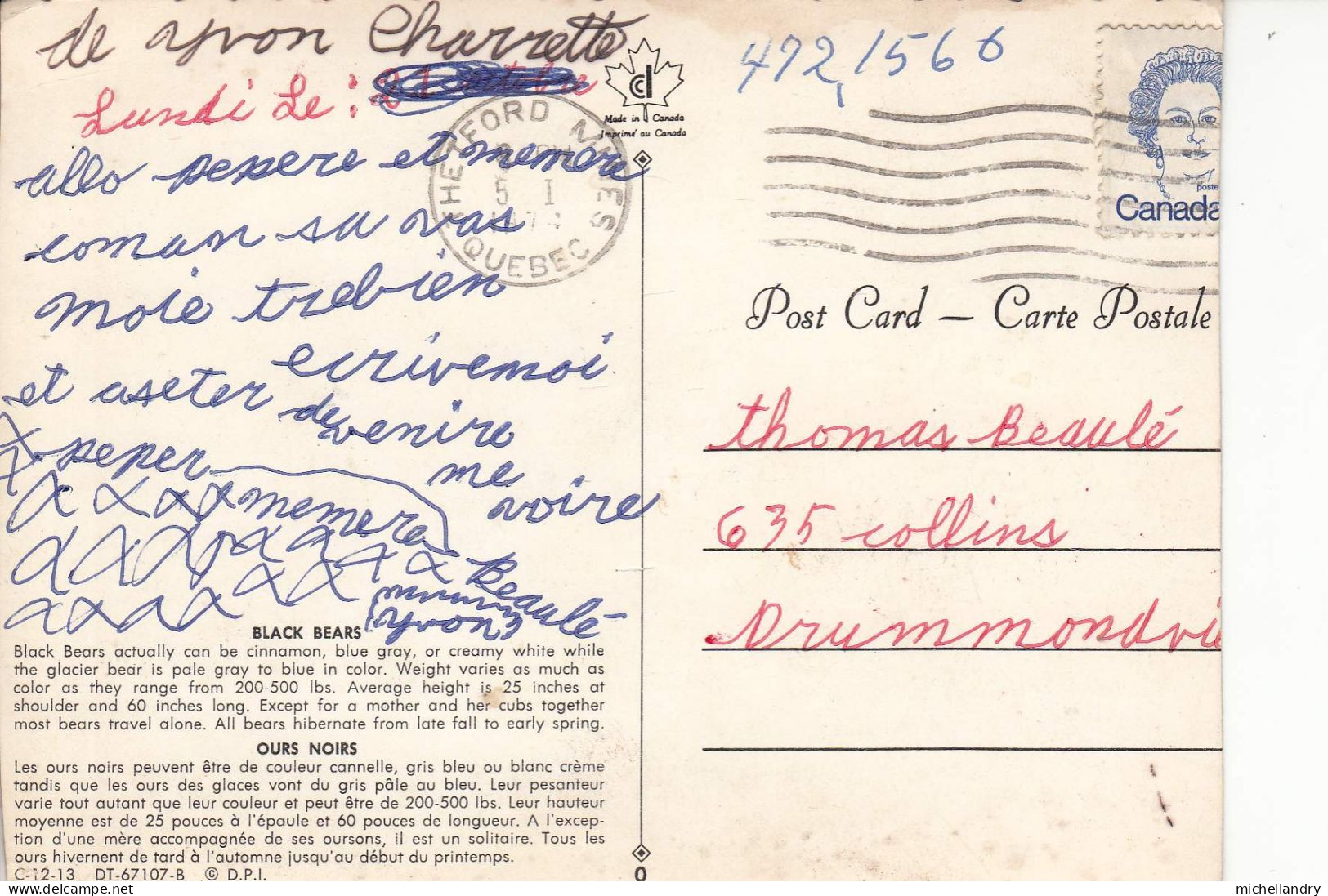 Carte Postal (124055/122315) Ours Noirs Thetford Mines 21 Octobre 1974 Timbre 8 Cents Canada - Otros & Sin Clasificación
