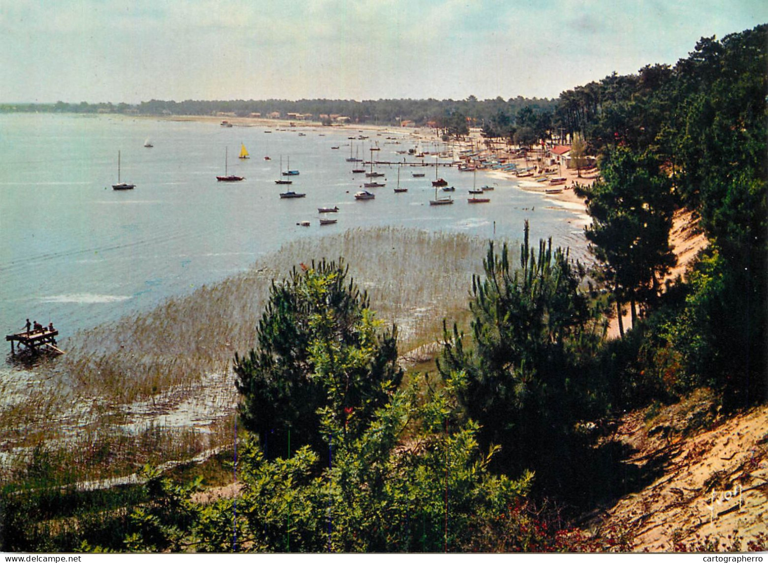 Navigation Sailing Vessels & Boats Themed Postcard Gironde Maubuisson Le Lac - Veleros