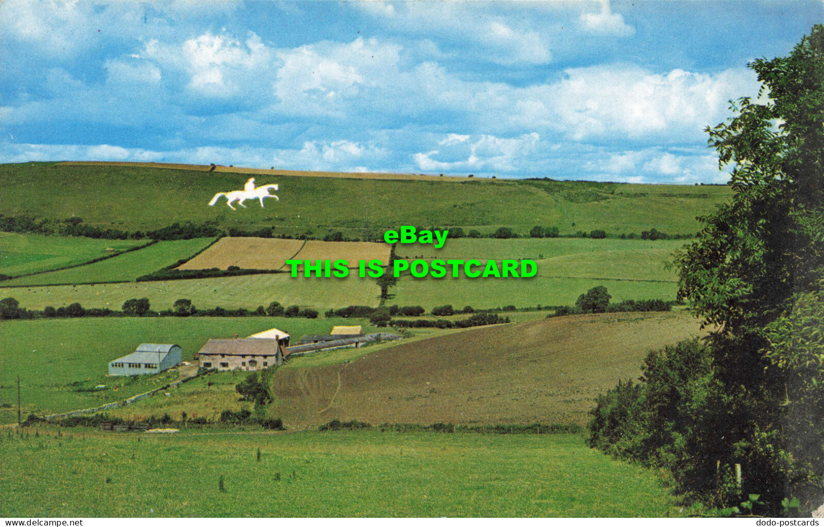 R572279 White Horseman On Hill From Preston Road. Weymouth. Natural Colour Serie - Monde