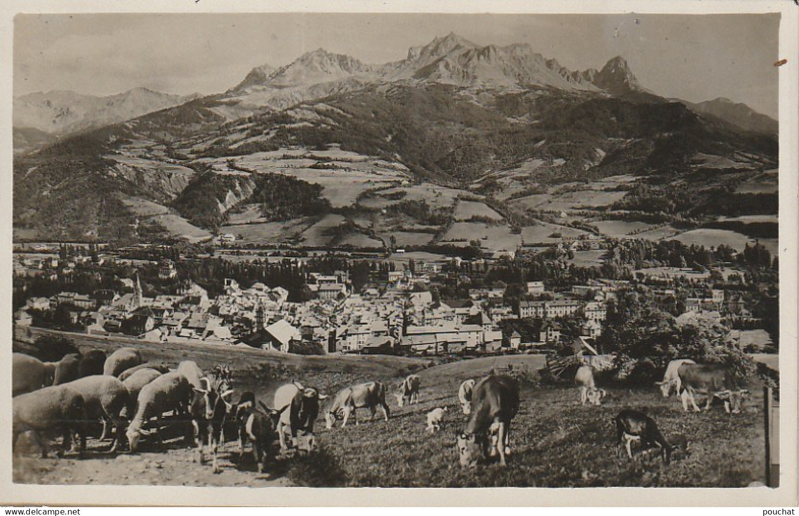 XXX -(04) BARCELONNETTE - SES MONTAGNES - VUE GENERALE - TROUPEAUX AUX PATURAGES - 2 SCANS - Barcelonnette