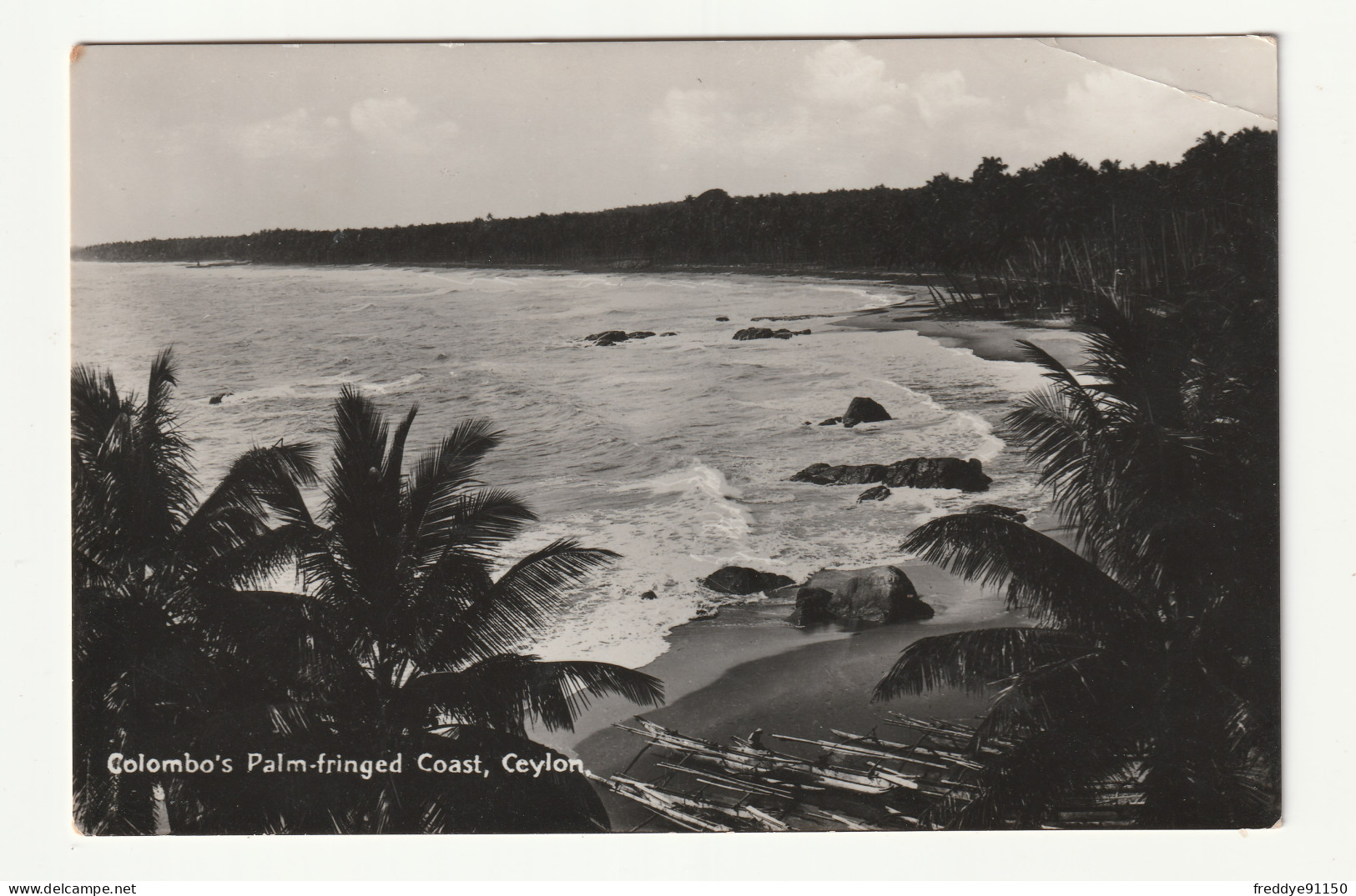 Asie . Sri Lanka . Ceylan . Colombo's Palm Fringed Coast - Sri Lanka (Ceylon)