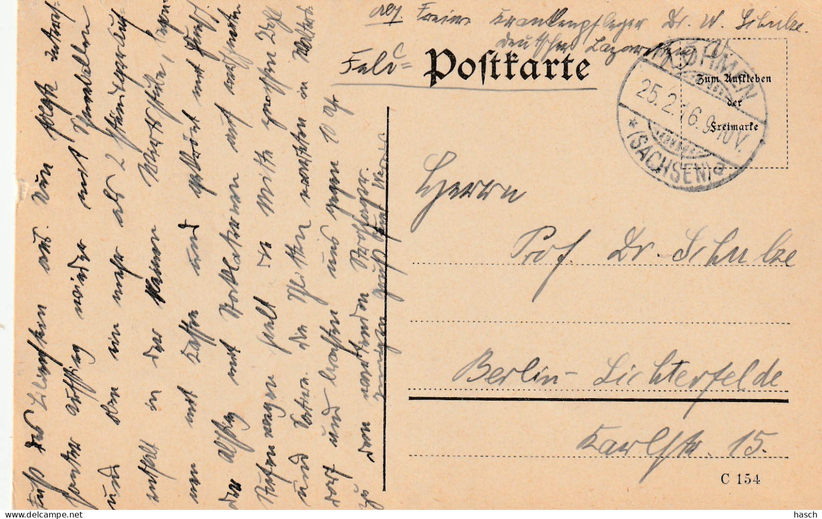 4935 29  Feldpostkarte 25-02-1916 Lohmen (sachsen)- Berlin. Absender Dr Schulze, Krankenpfleger Deutsch - Weltkrieg 1914-18