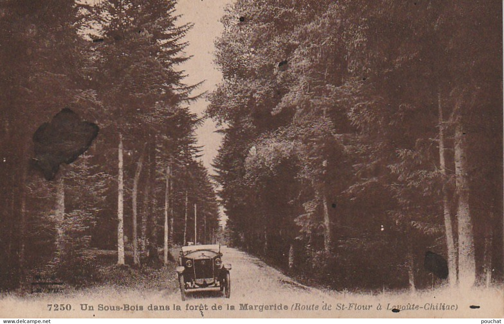 XXX -(15) UN SOUS BOIS DANS LA FORET DE LA MARGERIDE  ( ROUTE DE ST FLOUR A LAVOUTE CHILIAC ) - 2 SCANS - Otros & Sin Clasificación