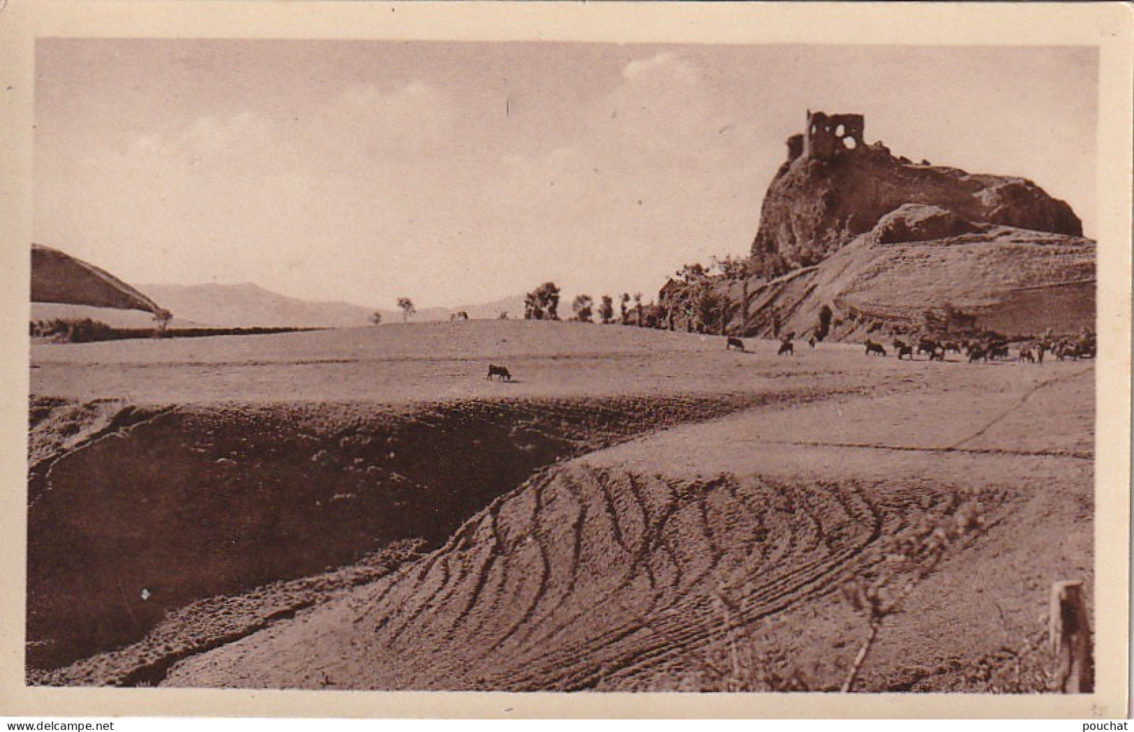 XXX -(15) ENVIRONS DE RIOM ES MONTAGNES - LE PLATEAU D' APCHON ET LES RUINES DU CHATEAU - TROUPEAU- 2 SCANS - Otros & Sin Clasificación