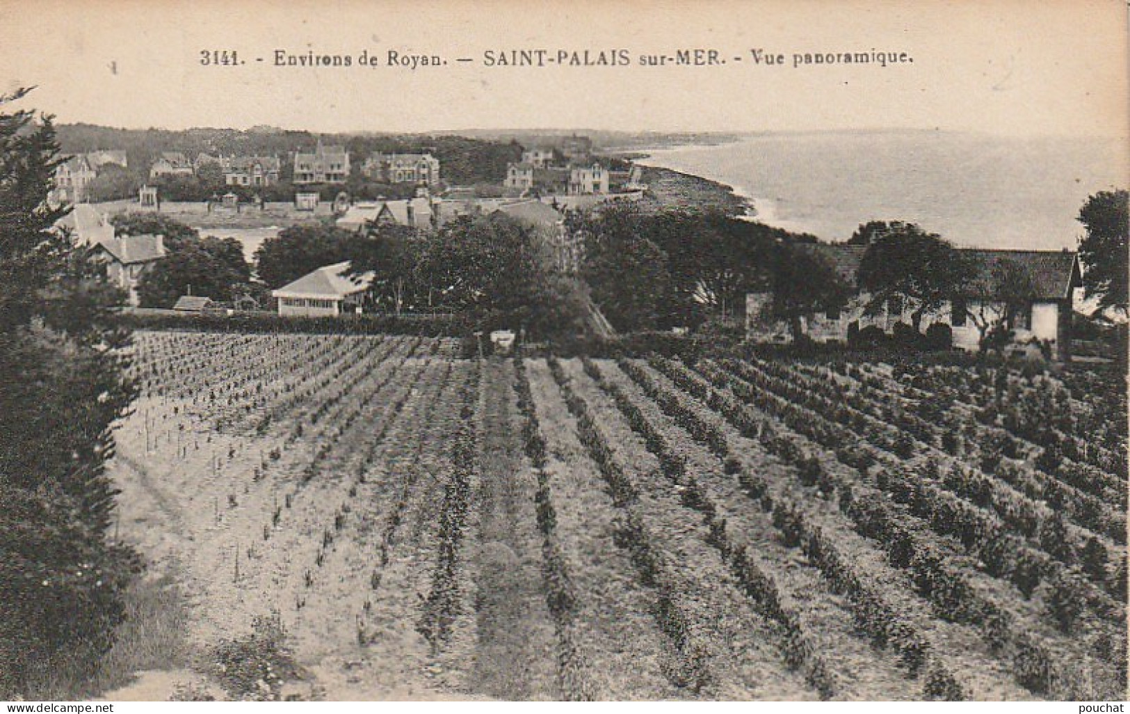 XXX-(17) ENVIRONS DE ROYAN - SAINT PALAIS SUR MER - VUE PANORAMIQUE - 2 SCANS - Saint-Palais-sur-Mer