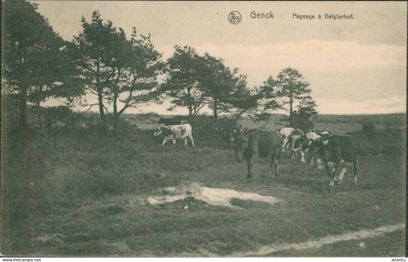 GENK / KELGTERHOF HOEVE - Genk