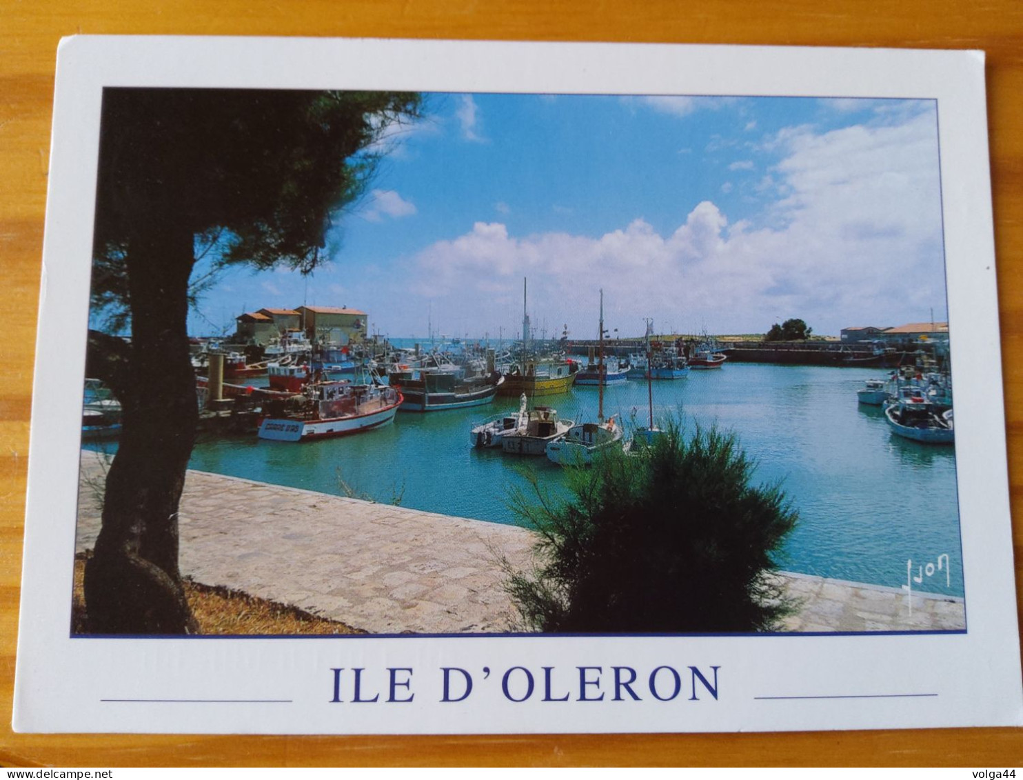 17 - CP - ILE D'OLERON - Le Port De La Cotinière - Ile D'Oléron