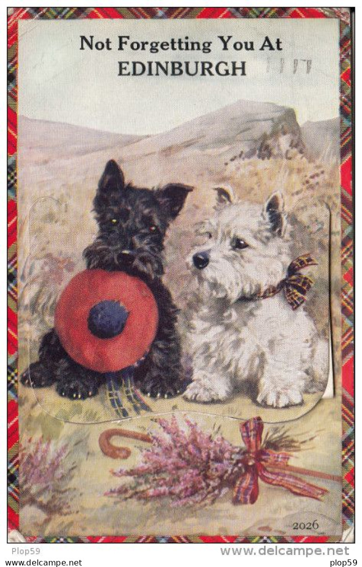 Cpa Ak Pk Scotland  - Carte à Système à Dérouler -not Forgetting You At Edinburgh Chien Scottish Terrier Black And White - Autres & Non Classés