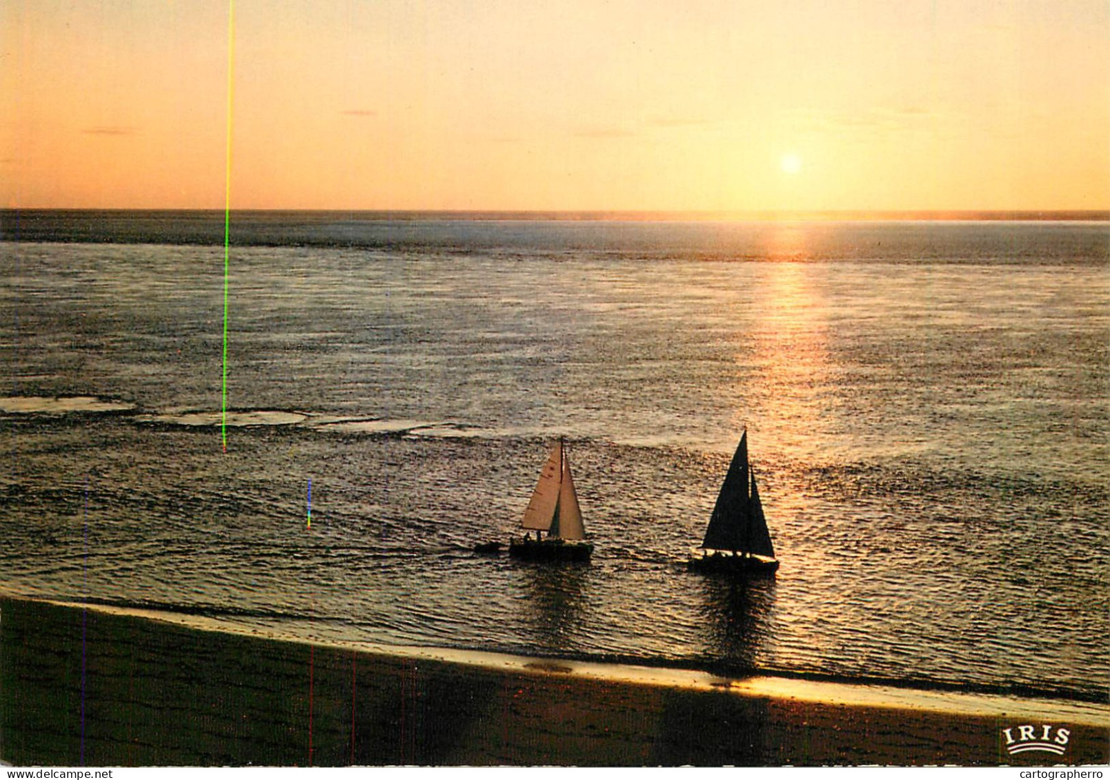 Navigation Sailing Vessels & Boats Themed Postcard Bassin D'Arcachon - Voiliers