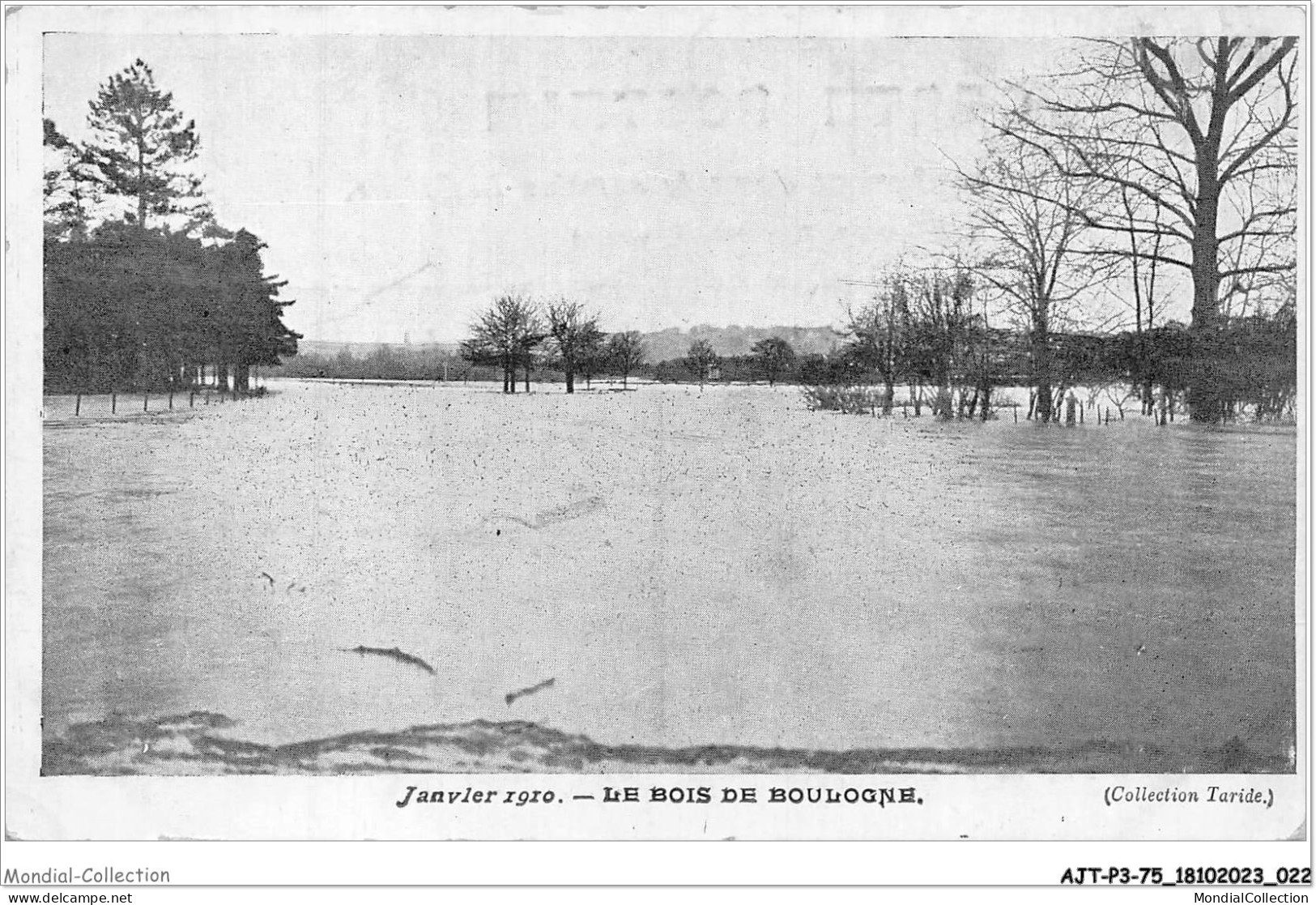 AJTP3-75-0304 - INNONDATION - Le Bois De Boulogne  - De Overstroming Van 1910