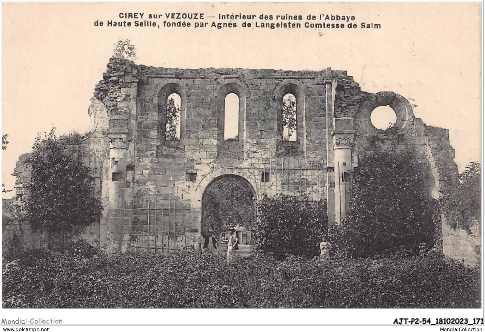 AJTP2-54-0224 - CIREY SUR VEZOUZE - Intérieur Des Ruines De L'Abbaye De Haute Seille  - Cirey Sur Vezouze