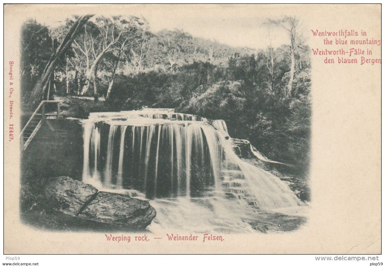 Cpa Ak Pk Précurseur Australie - Nouvelle Galle Du Sud  Weeping Rock Wentworth Falls In The Blue Mountains Blauen Bergen - Otros & Sin Clasificación