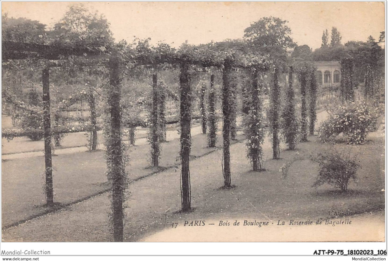 AJTP9-75-0974 - PARIS - Bois De Boulogne  - Parks, Gärten