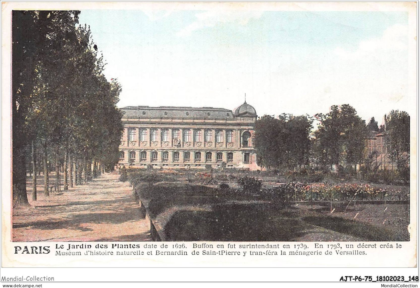 AJTP6-75-06487 - PARIS - Le Jardin Des Plantes  - Parks, Gardens