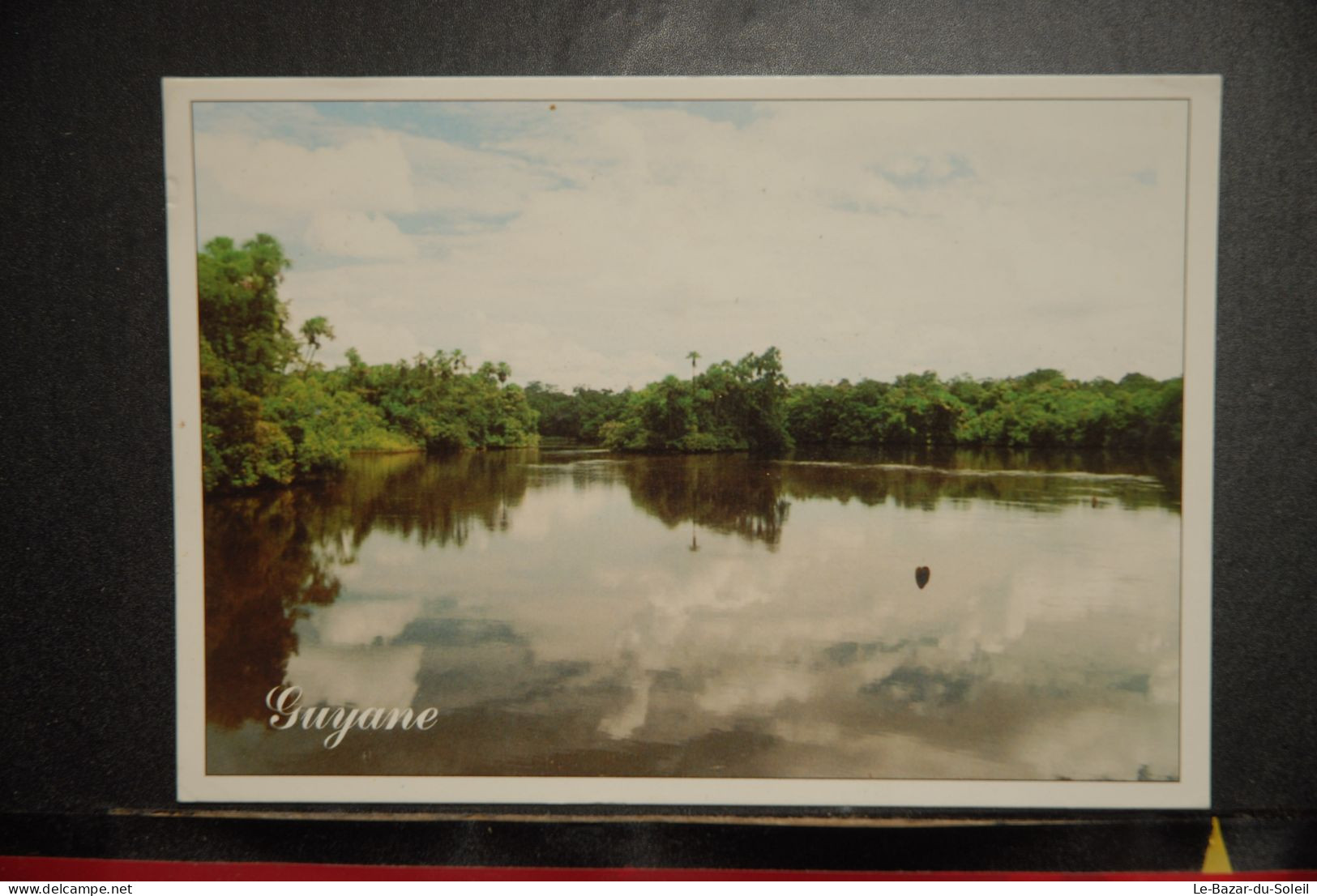 CP,  CHARMES ET COULEURS DE LA GUYANE Rivière La Comté - Sonstige & Ohne Zuordnung