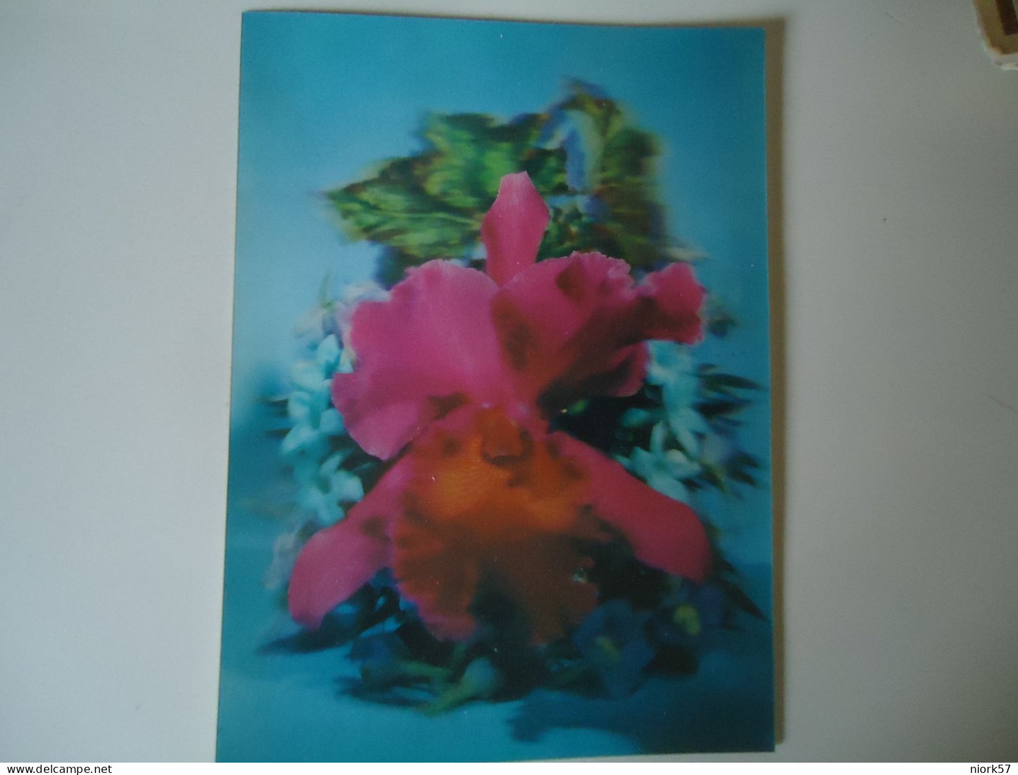 FRANCE POSTCARDS   RARE 3D    FLOWERS ORCHIDS MORE    PURHASES 10% OFF - Flowers