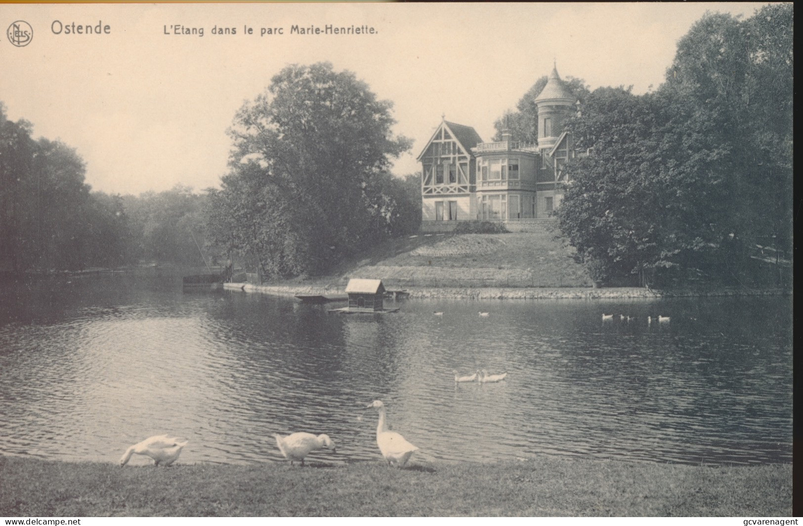 OOSTENDE    L'ETANG DANS LE PARC MARIE-HENRIETTE             ZIE AFBEELDINGEN - Oostende