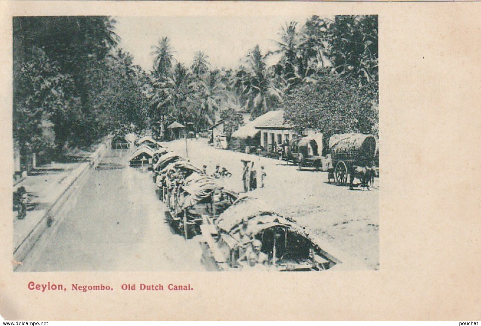 XXX - NEGOMBO ( CEYLON ) - OLD DUTCH CANAL - FISHING BOATS - BATEAUX DE PECHE - Sri Lanka (Ceylon)