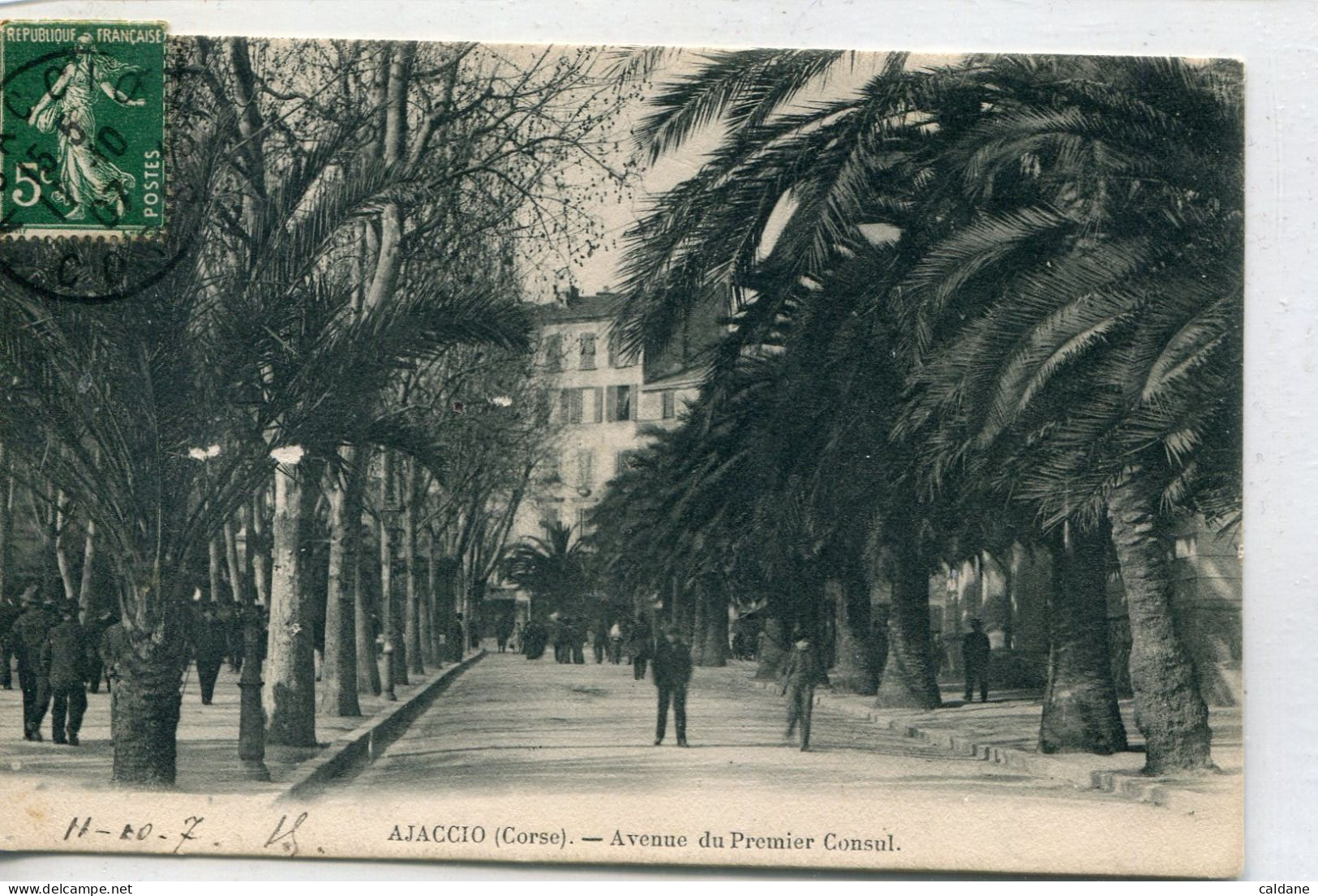-2A-CORSE- AJACCIO -   Avenue -   Du 1er Consul -   Collection J.Moretti,Corté,  N°: 69 - Ajaccio
