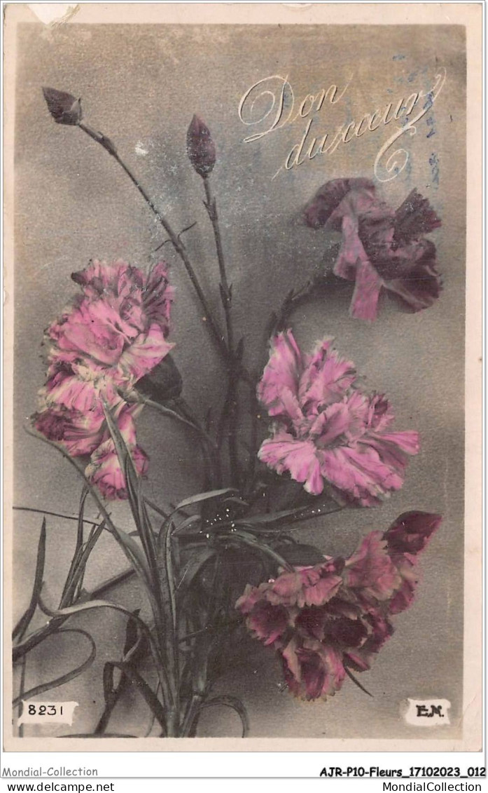 AJRP10-0983 - FLEURS - OEILLETS - DON DU COEUR - Flowers