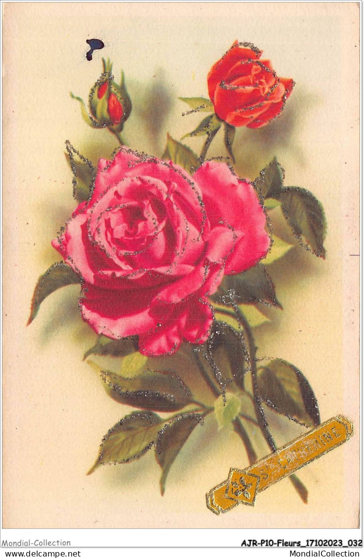 AJRP10-0993 - FLEURS - ROSE - STE-CATHERINE - Flowers