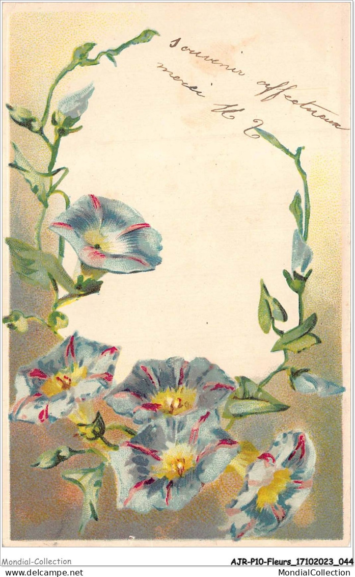AJRP10-0999 - FLEURS - GENTIANES - Flowers