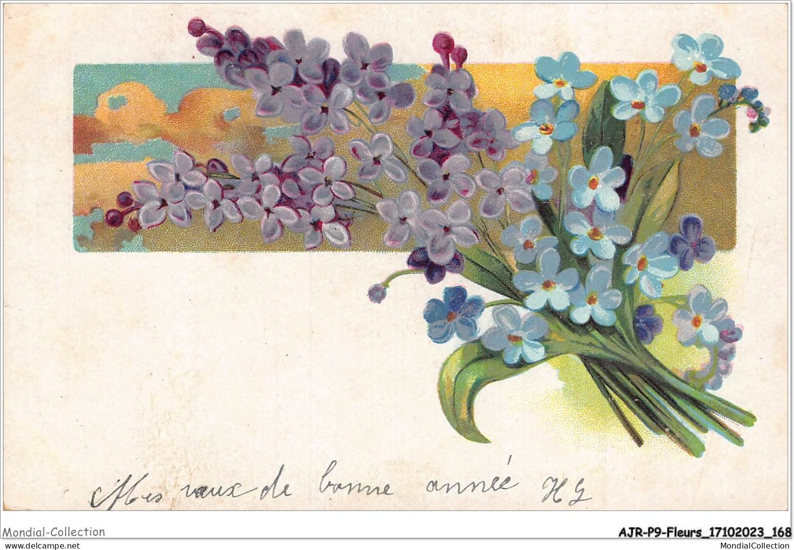 AJRP9-0969 - FLEURS - VIOLETTES - MYOSOTIS - Flowers