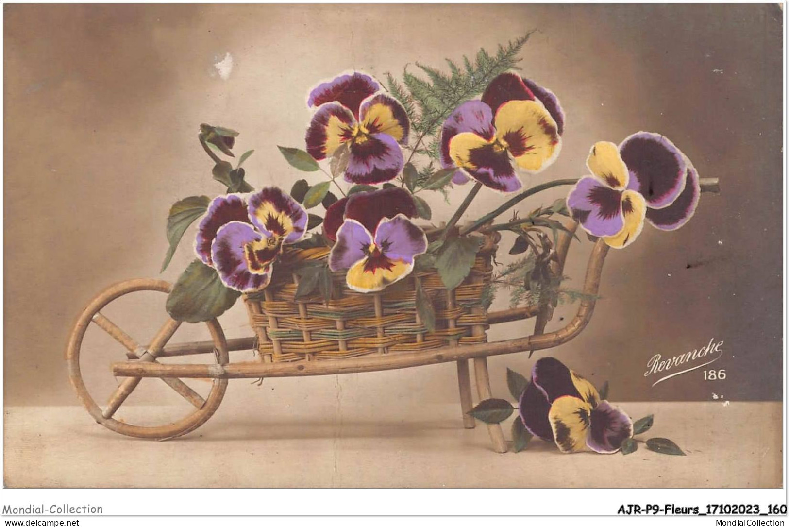 AJRP9-0965 - FLEURS - PENSEES DE JARDIN BROUETTE - Flowers