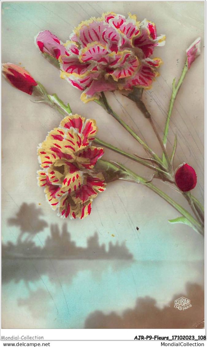 AJRP9-0939 - FLEURS - OEILLETS - Flowers