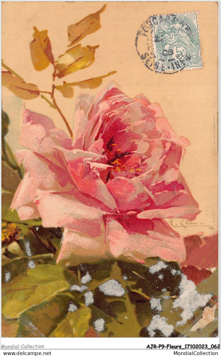 AJRP9-0916 - FLEURS - ROSE  - Flowers