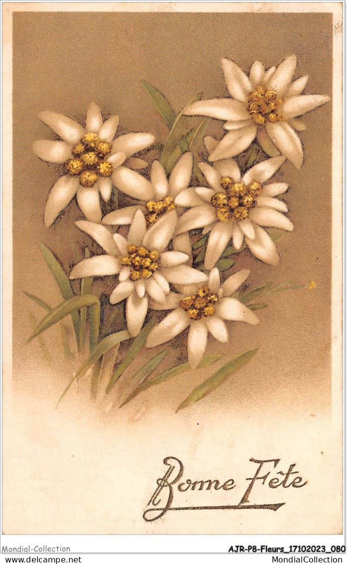 AJRP8-0824 - FLEURS - BONNE FETE - EDELWEISS - Flowers