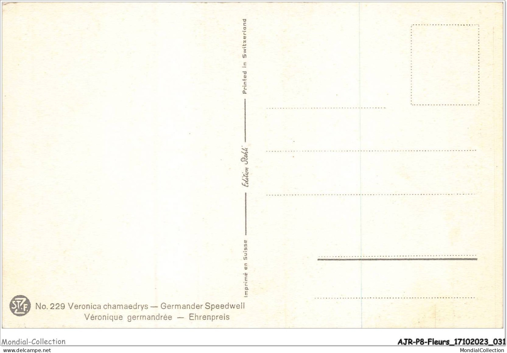 AJRP8-0799 - FLEURS - FLEUR DE LIN  - Blumen