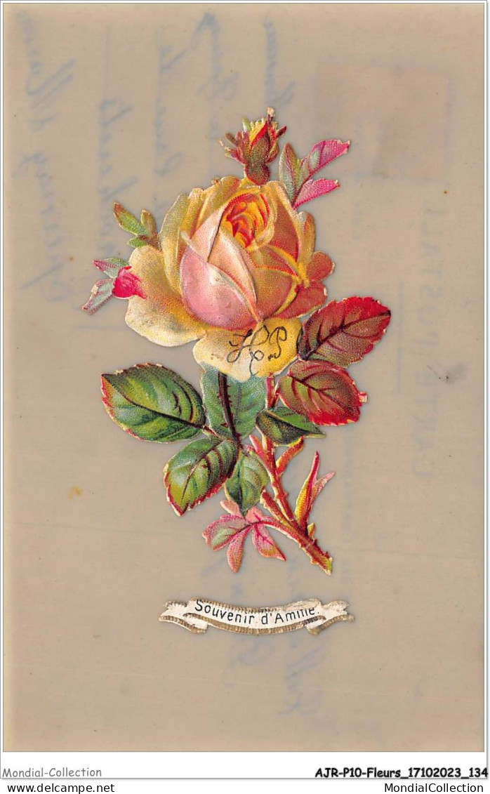 AJRP10-1044 - FLEURS - SOUVENIR D'AMITIE - ROSE  - Fleurs