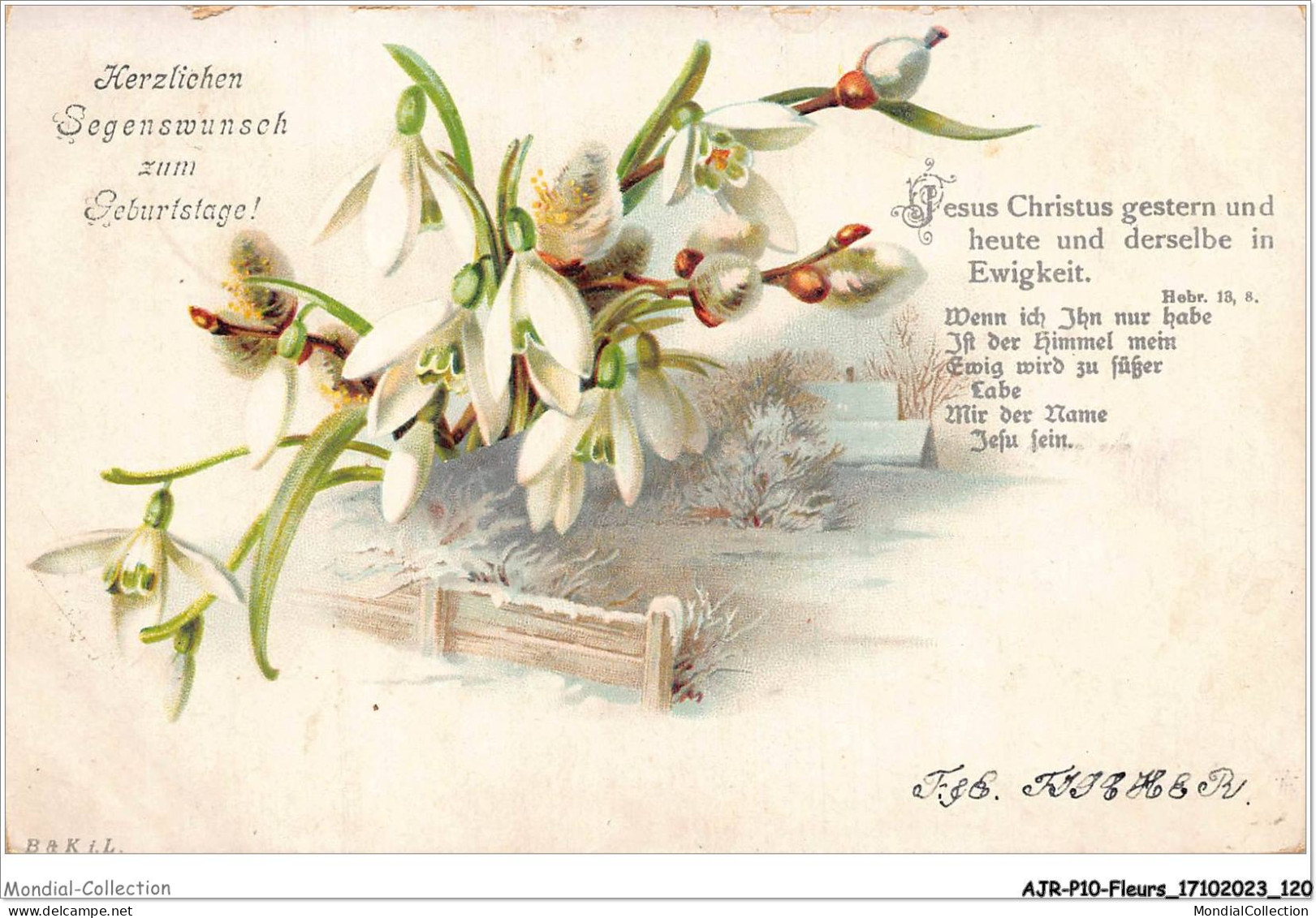AJRP10-1037 - FLEURS - JESUS CHRISTUS GESTERN UND HEUTE UND DERSELBE IN EWIGKEIT - PERCE-NEIGE - Flowers