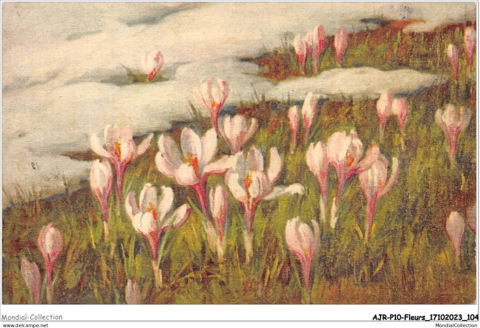 AJRP10-1029 - FLEURS - TULIPES - Blumen