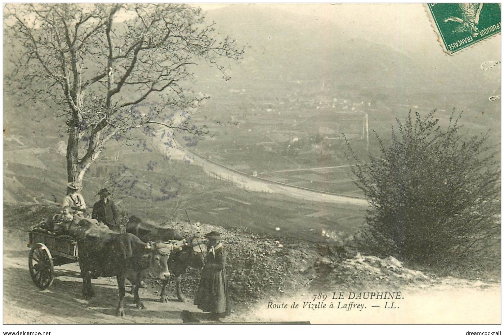 38 Route De VIZILLE à LAFFREY. Attelage Boeufs 1907 - Vizille