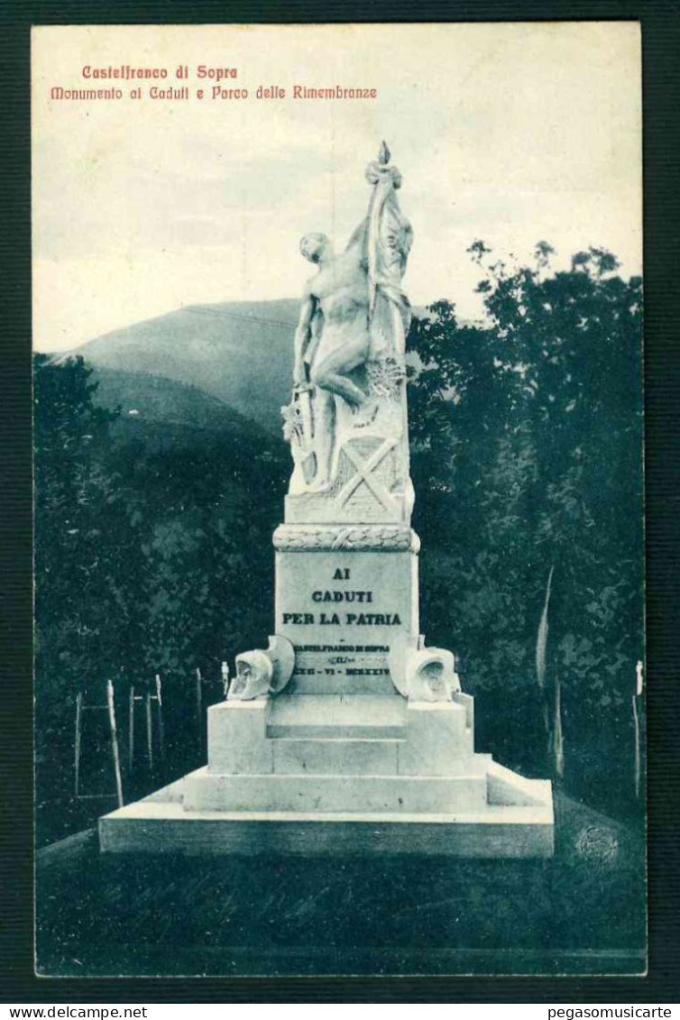 BF128 CASTELFRANCO DI SOPRA - MONUMENTO AI CADUTI E PARCO DELLE RIMEMBRANZE - AREZZO - 1925 - Otros & Sin Clasificación