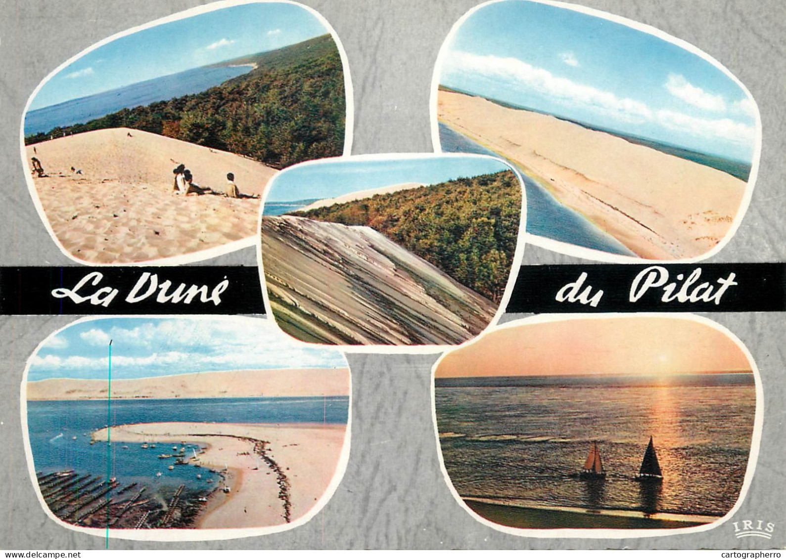 Navigation Sailing Vessels & Boats Themed Postcard Bassin D'Arcachon La Dune Du Pilat - Voiliers