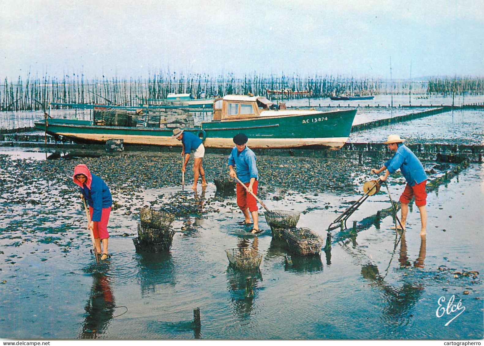 Navigation Sailing Vessels & Boats Themed Postcard Bassin D'Arcachon Travaux Ostreicoles - Veleros