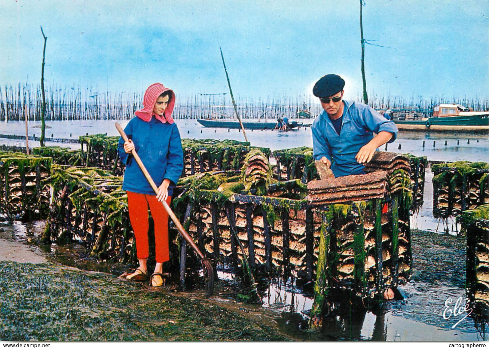 Navigation Sailing Vessels & Boats Themed Postcard Bassin D'Arcachon Travaux Ostreicoles - Veleros