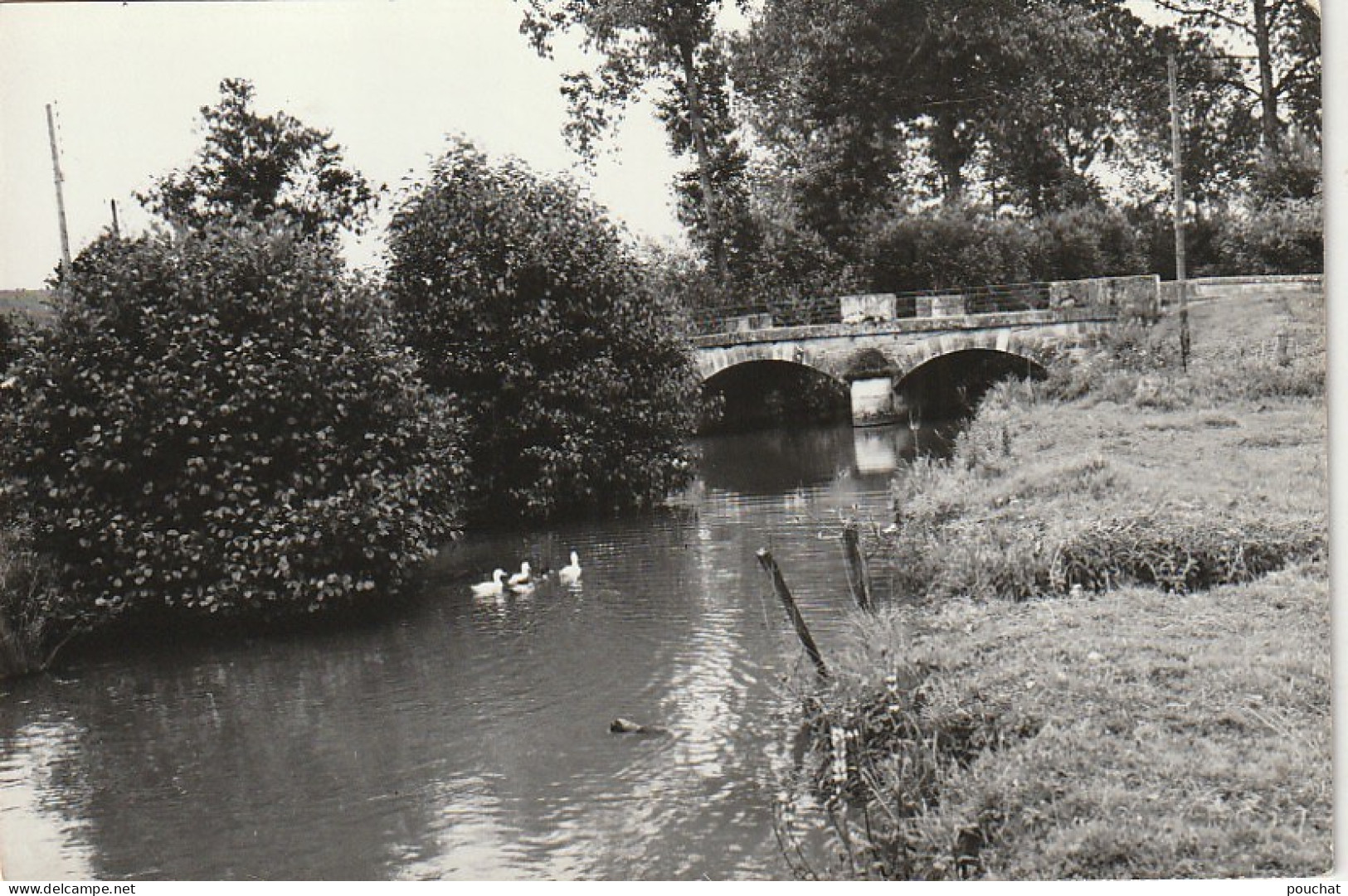 XXX -(52) SARREY - LE PONT - 2 SCANS - Otros & Sin Clasificación