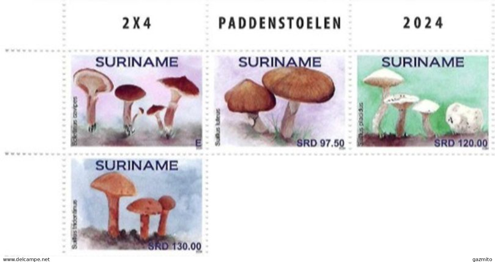 Suriname 2024, Mushrooms, 4val - Pilze