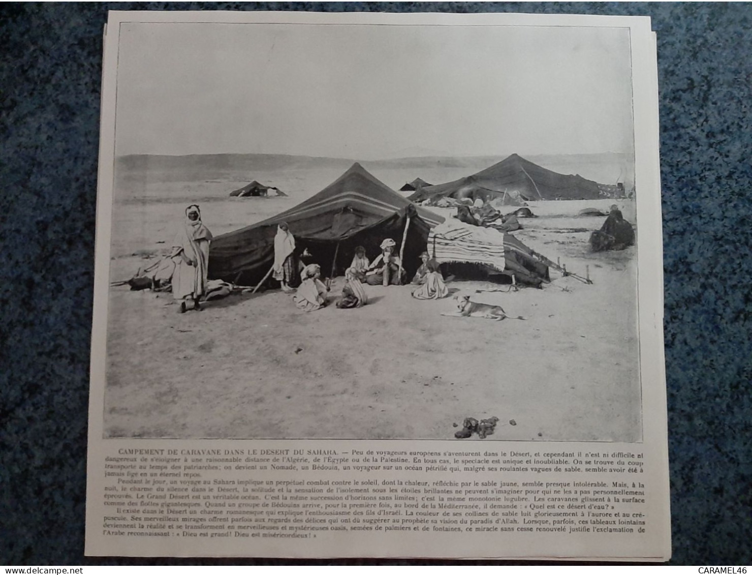 AFFICHE  - PHOTOGRAPHIQUE   -   COMPLEMENT DE CARAVANE DANS LE DESERT DU SAHARA - Manifesti