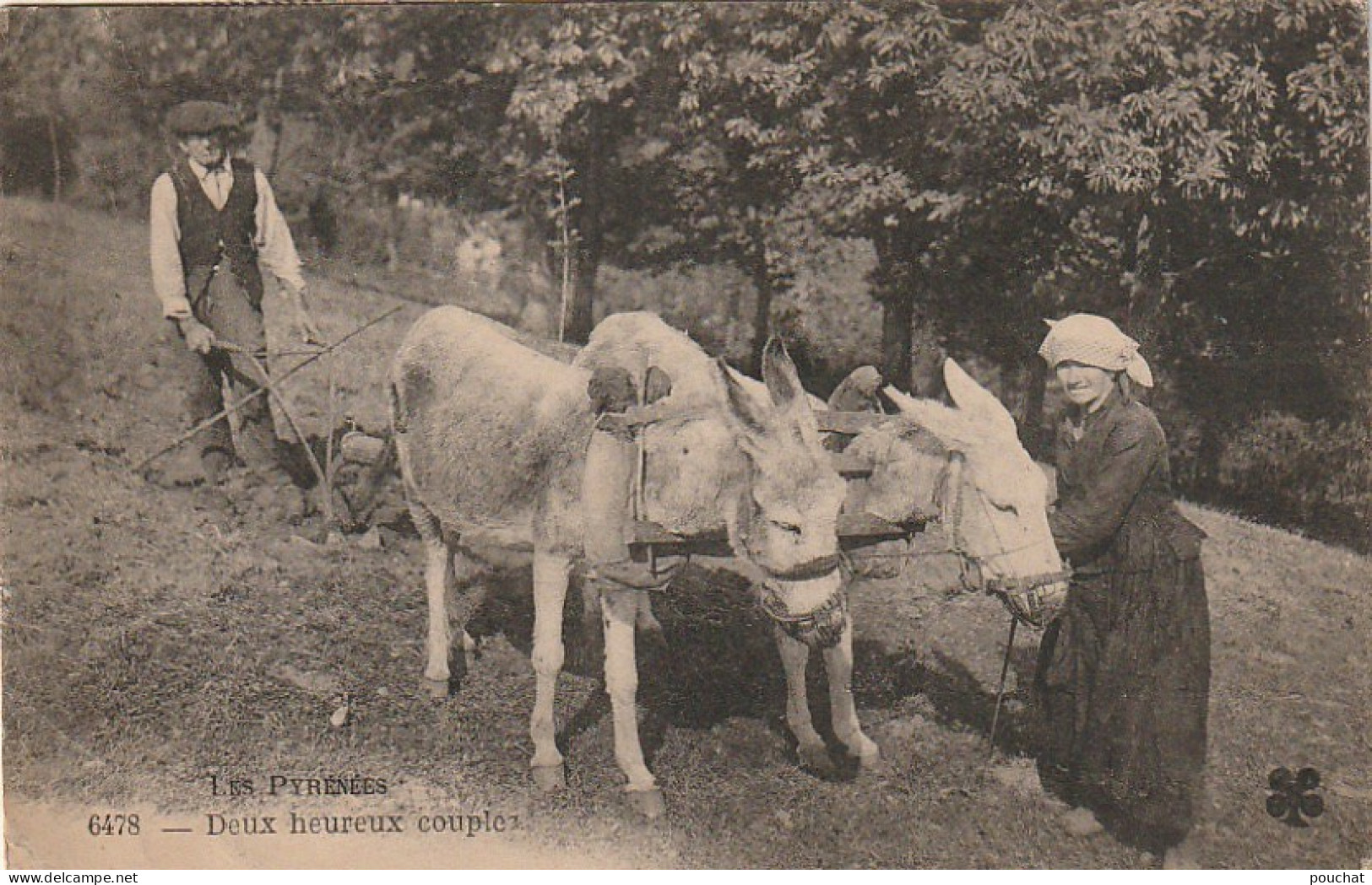 XXX -  LES PYRENEES - DEUX HEUREUX COUPLES  - PAYSANS AVEC ATTELAGE D' ANES - LABOURAGE  - 2 SCANS - Paesani