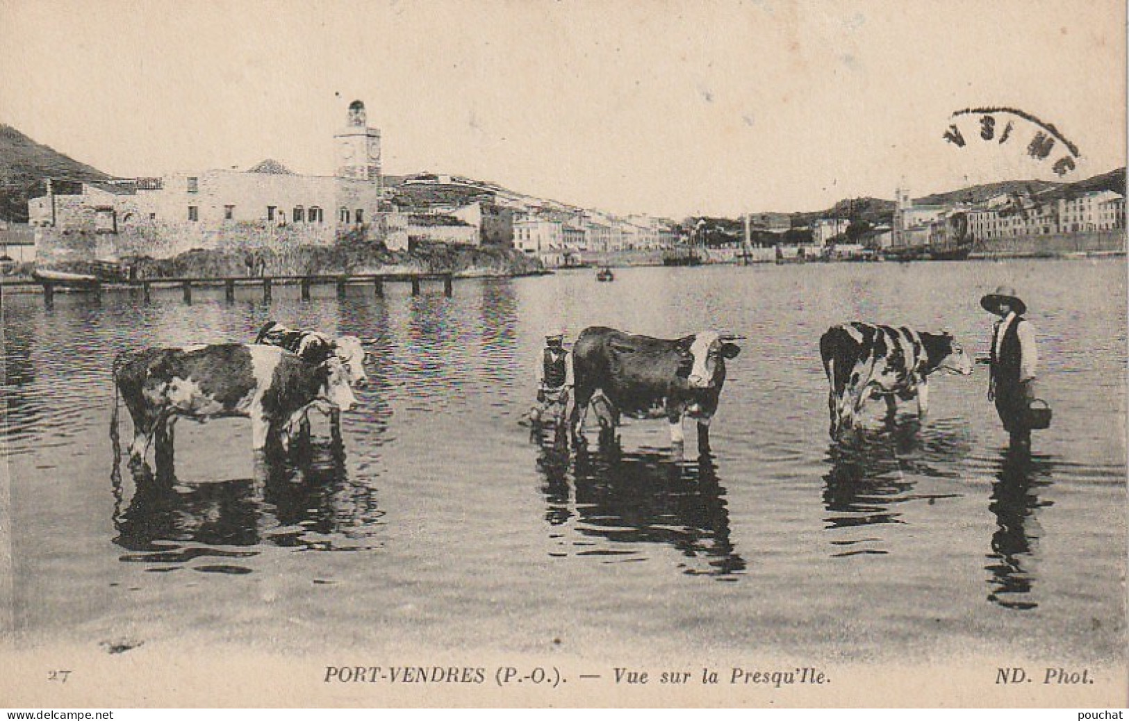 XXX -(66) PORT VENDRES - VUE SUR LA PRESQU' ILE - ANIMATION - BAIN DE VACHES - 2 SCANS - Port Vendres