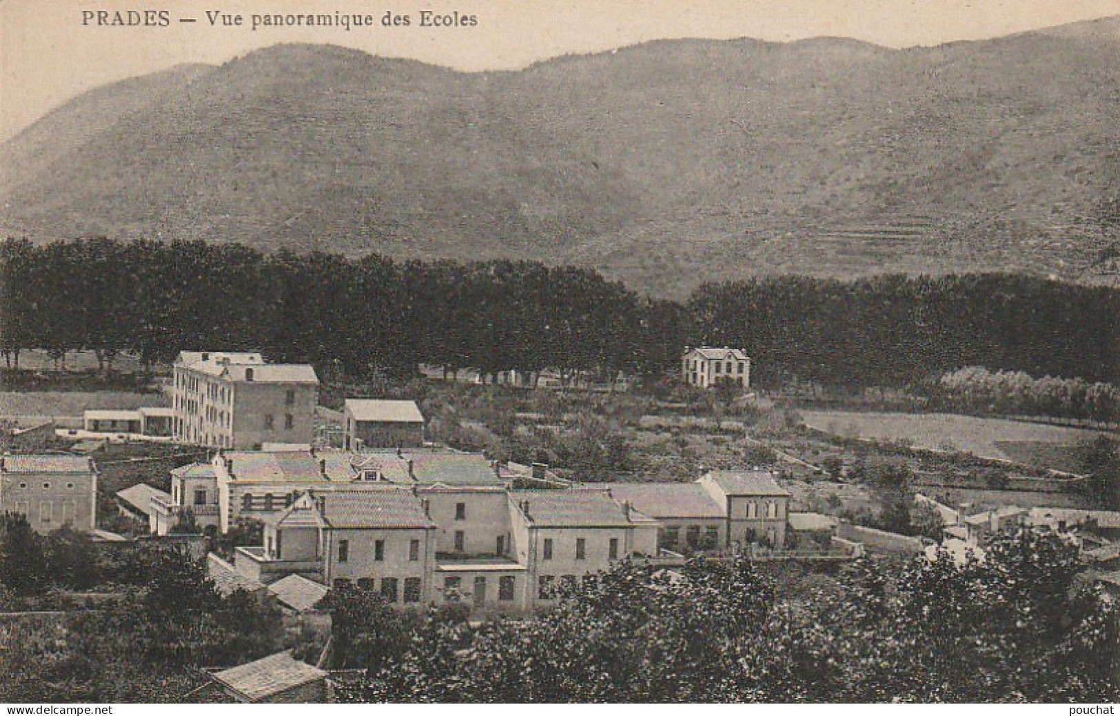 XXX -(66) PRADES - VUE PANORAMIQUE DES ECOLES - 2 SCANS - Prades