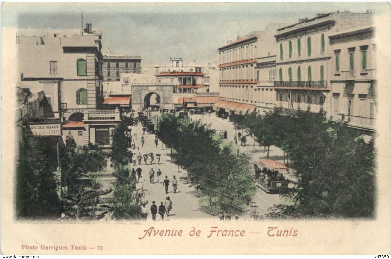 Tunis - Avenue De France - Tunisia