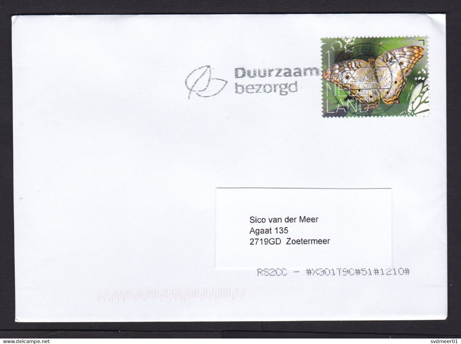 Netherlands: Cover, 2024, 1 Stamp, Butterfly From Bonaire Island, Insect, Animal, Dutch Antilles (traces Of Use) - Covers & Documents