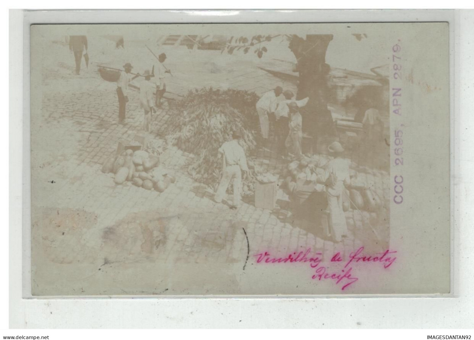 BRESIL BRAZIL BRASIL #17566 PERNAMBUCO MARCHAND DE FRUIT CARTE PHOTO - Otros